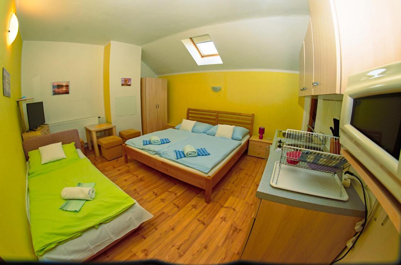 Vila Rhea Važec Esterno foto