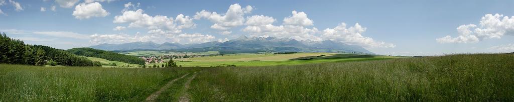 Vila Rhea Važec Esterno foto