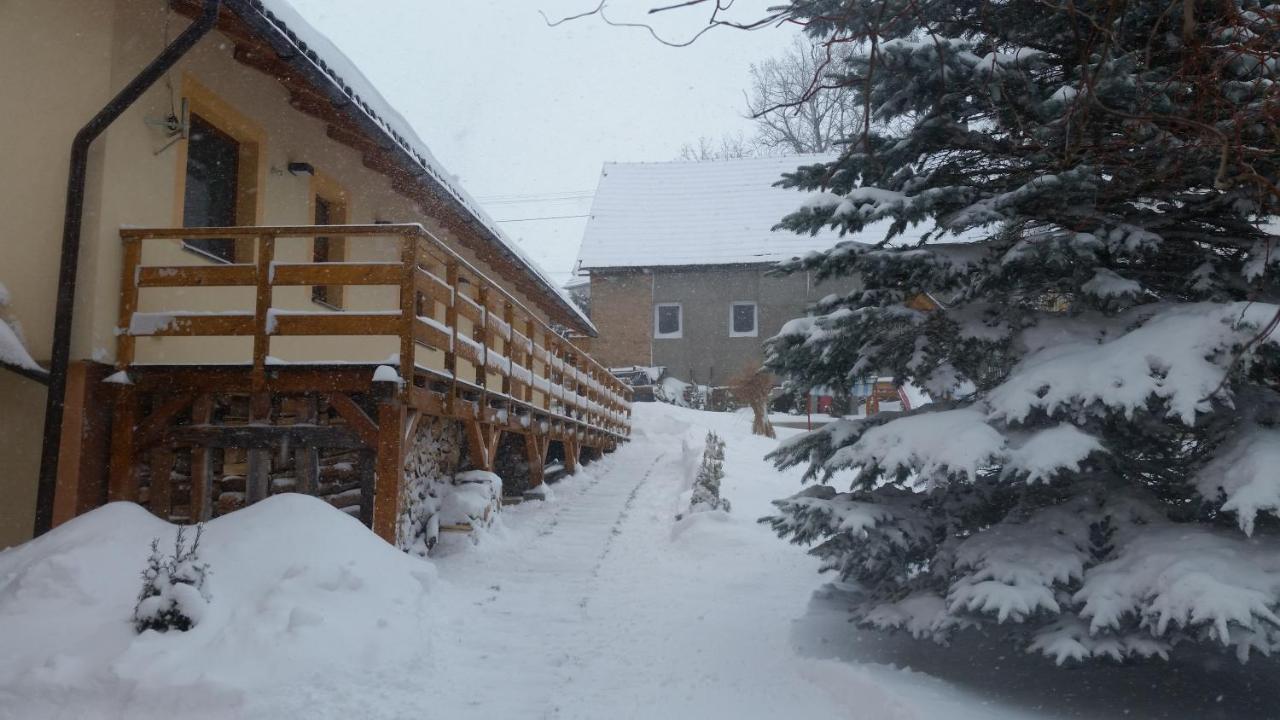 Vila Rhea Važec Esterno foto